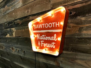 NATIONAL FOREST LIGHTED SIGN